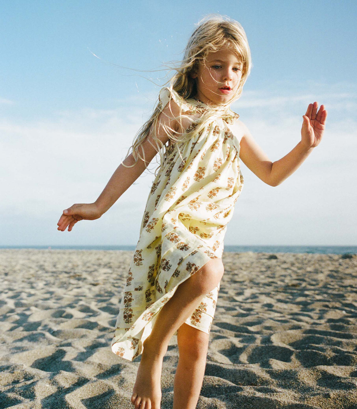 LITTLE NISHA DRESS -- DANDELION GROVE